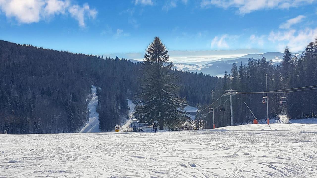 Chalex Villa Aigen im Mühlkreis Exteriör bild